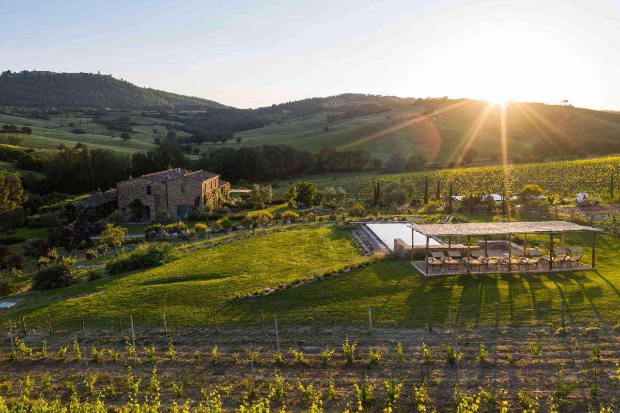 Follonico 4-Suite B&B Torrita di Siena Eksteriør billede