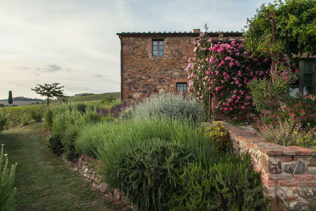 Follonico 4-Suite B&B Torrita di Siena Eksteriør billede