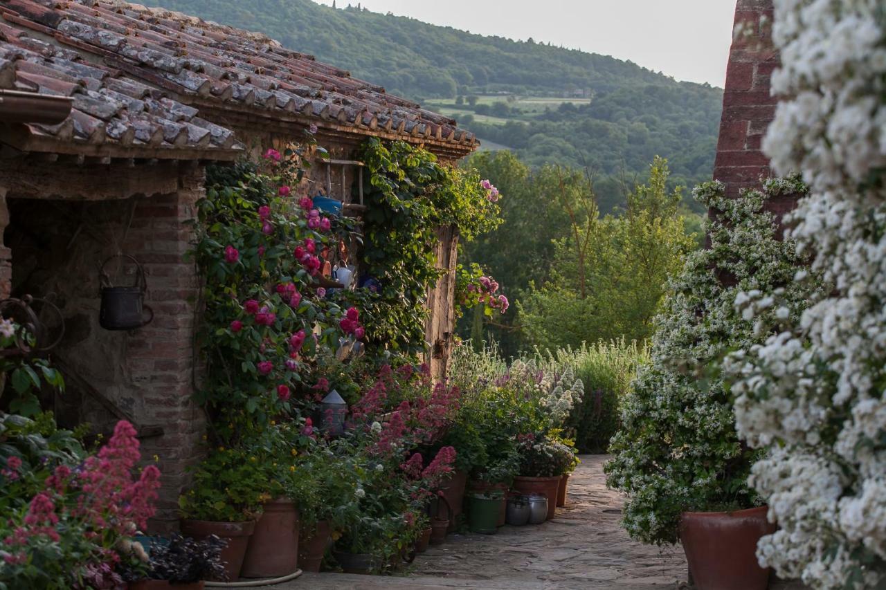 Follonico 4-Suite B&B Torrita di Siena Eksteriør billede